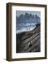 Grizzly Bear Walks Along Rock Shelf of Glacier-Waterton International Peace Park, Montana-Steven Gnam-Framed Photographic Print