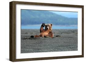 Grizzly Bear Waving-Lantern Press-Framed Art Print