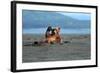 Grizzly Bear Waving-Lantern Press-Framed Art Print