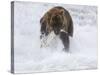 Grizzly Bear with Salmon, Alaska-Lynn M^ Stone-Stretched Canvas