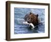 Grizzly Bear with Salmon-Lynn M^ Stone-Framed Photographic Print