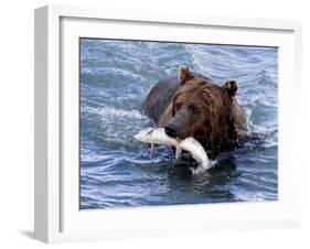 Grizzly Bear with Salmon-Lynn M^ Stone-Framed Photographic Print