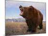 Grizzly Bear-DLILLC-Mounted Photographic Print