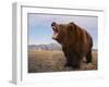 Grizzly Bear-DLILLC-Framed Photographic Print