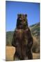 Grizzly Bear-DLILLC-Mounted Photographic Print