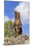 Grizzly Bear-null-Mounted Photographic Print