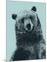 Grizzly Bear-James Hager-Mounted Photographic Print