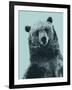 Grizzly Bear-James Hager-Framed Premium Photographic Print