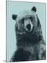 Grizzly Bear-James Hager-Mounted Premium Photographic Print