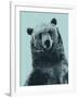 Grizzly Bear-James Hager-Framed Photographic Print