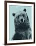 Grizzly Bear-James Hager-Framed Photographic Print