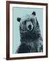 Grizzly Bear-James Hager-Framed Photographic Print