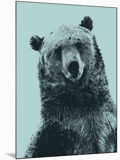 Grizzly Bear-James Hager-Mounted Photographic Print