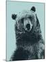 Grizzly Bear-James Hager-Mounted Photographic Print