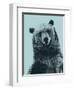 Grizzly Bear-James Hager-Framed Premium Photographic Print