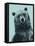 Grizzly Bear-James Hager-Framed Stretched Canvas