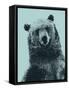 Grizzly Bear-James Hager-Framed Stretched Canvas