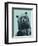 Grizzly Bear-James Hager-Framed Photographic Print