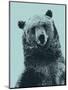 Grizzly Bear-James Hager-Mounted Photographic Print