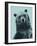 Grizzly Bear-James Hager-Framed Photographic Print