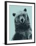 Grizzly Bear-James Hager-Framed Photographic Print