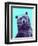 Grizzly Bear-James Hager-Framed Premium Photographic Print