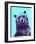 Grizzly Bear-James Hager-Framed Premium Photographic Print