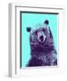 Grizzly Bear-James Hager-Framed Premium Photographic Print