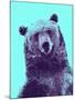 Grizzly Bear-James Hager-Mounted Photographic Print