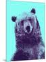 Grizzly Bear-James Hager-Mounted Photographic Print