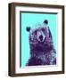 Grizzly Bear-James Hager-Framed Photographic Print