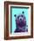 Grizzly Bear-James Hager-Framed Photographic Print