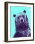 Grizzly Bear-James Hager-Framed Photographic Print