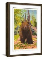Grizzly Bear-null-Framed Art Print