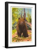 Grizzly Bear-null-Framed Art Print