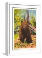 Grizzly Bear-null-Framed Art Print