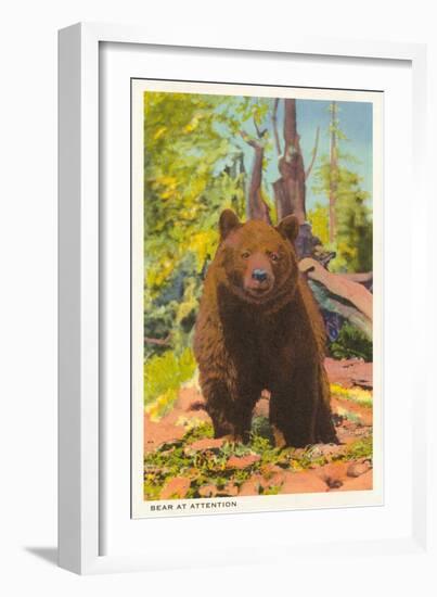 Grizzly Bear-null-Framed Art Print