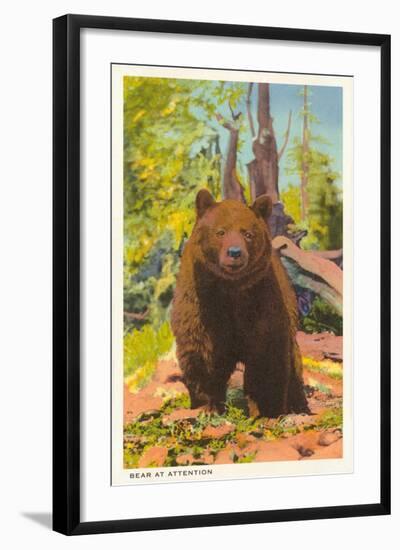 Grizzly Bear-null-Framed Art Print