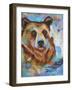 Grizzly Bear-Corina St. Martin-Framed Giclee Print