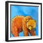 Grizzly Bear-Karrie Evenson-Framed Art Print