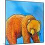 Grizzly Bear-Karrie Evenson-Mounted Art Print