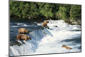 Grizzly Bears Fishing for Salmon at Brooks Falls-null-Mounted Photographic Print