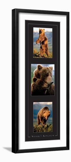 Grizzly Bears-unknown unknown-Framed Photo