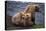 Grizzly Cubs with Mother by River-DLILLC-Stretched Canvas