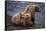 Grizzly Cubs with Mother by River-DLILLC-Framed Stretched Canvas