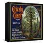 Grizzly Giant Brand - San Dimas, California - Citrus Crate Label-Lantern Press-Framed Stretched Canvas