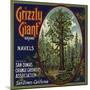 Grizzly Giant Brand - San Dimas, California - Citrus Crate Label-Lantern Press-Mounted Art Print