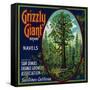 Grizzly Giant Orange Label - San Dimas, CA-Lantern Press-Framed Stretched Canvas