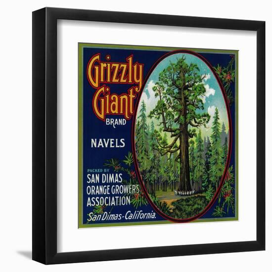 Grizzly Giant Orange Label - San Dimas, CA-Lantern Press-Framed Art Print