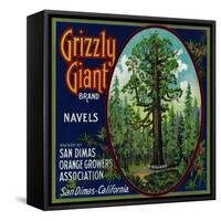 Grizzly Giant Orange Label - San Dimas, CA-Lantern Press-Framed Stretched Canvas